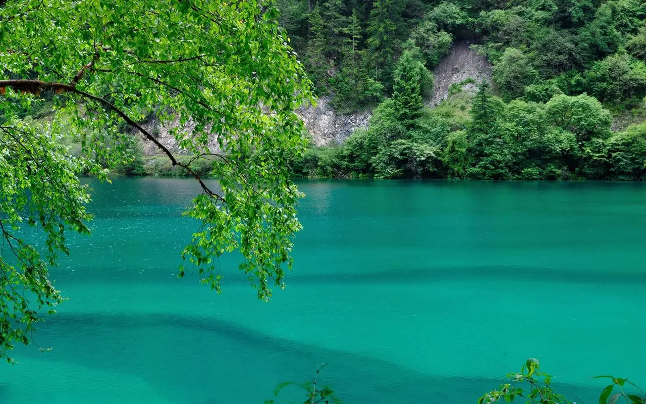 高效稳定性高端